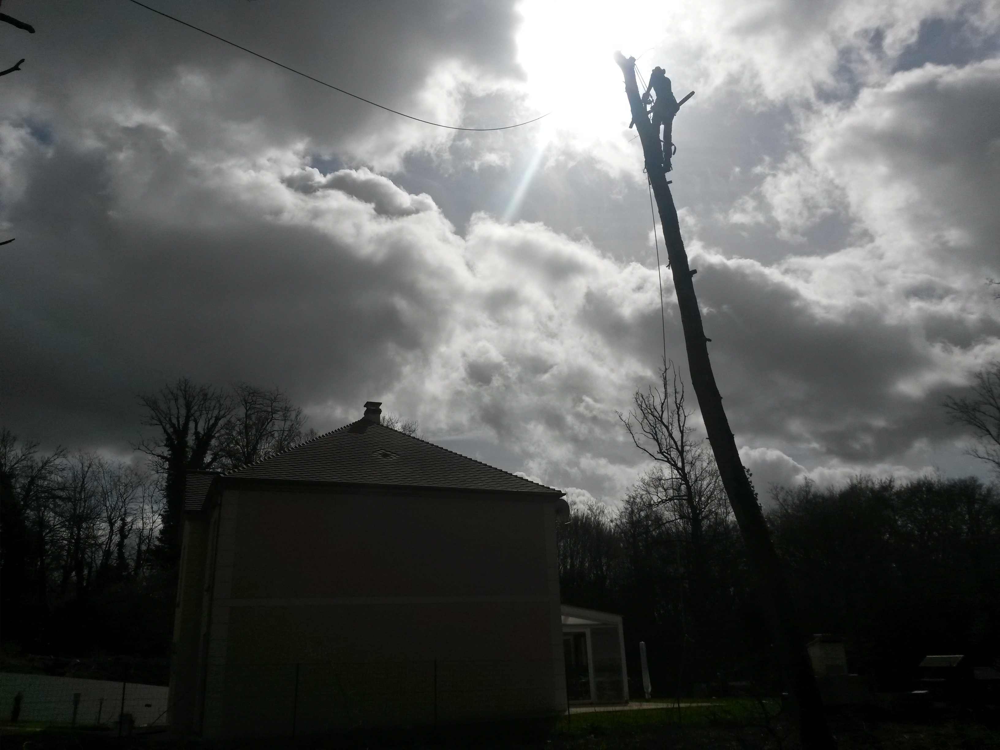 elagage abattage Mouroux 77120